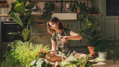 young woman gardening indoors with a big variety of houseplants