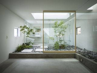 A bathroom with greenery in the middle