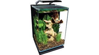 MarineLand 5 Gallon Portrait Glass LED small fish tank