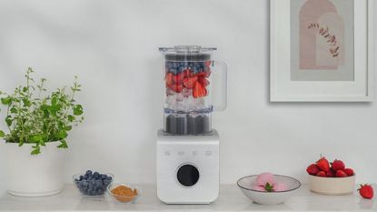 Smeg Professional Blender in a brushed stainless steel finish with bowls of fruit in front of it