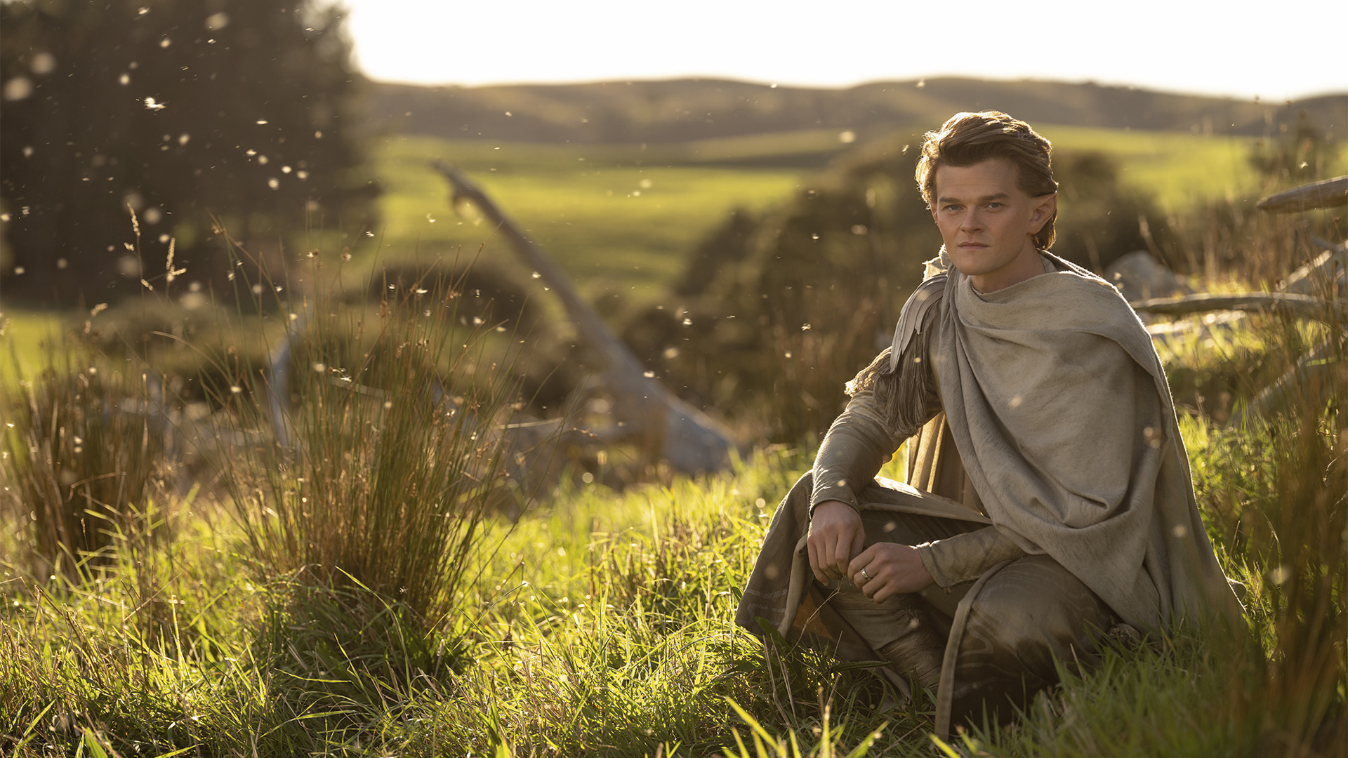Элронд Роберта Арамайо садится на корточки в поле в The Rings of Power на Prime Video