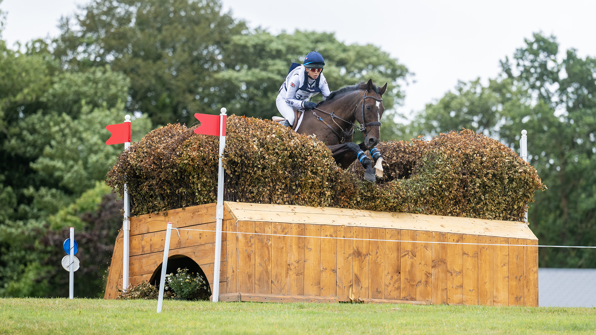 Alice Casburn and Topspin jump a fence topped with brush at the eventing under-25 World Championships 2026