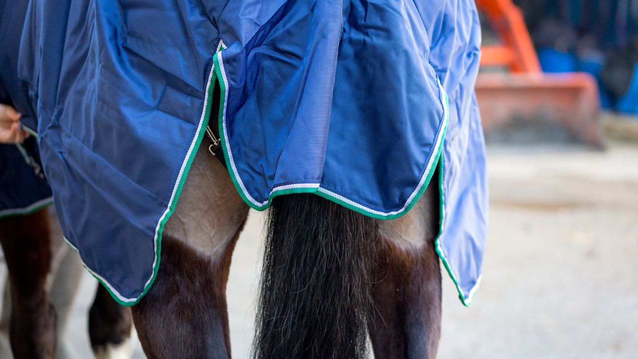 Bucas Smartex medium turnout review