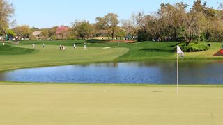 The green on the sixth hole at Bay Hill