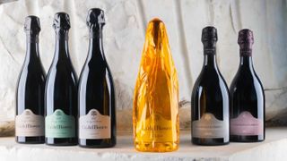 A selection of Ca’ del Bosco’s wines