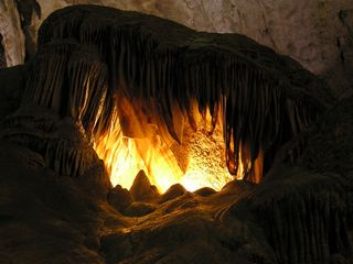 Carlsbad Caverns National Park New Mexico national park service