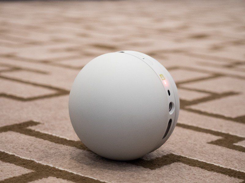 LG Roller Bot