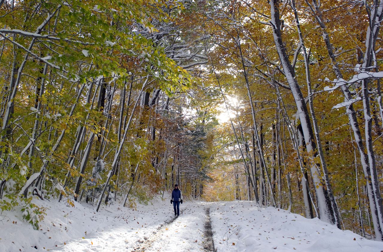 Snow covers fall leaves in Vermont.