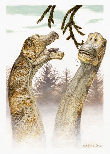 brachiosaurus plant eater