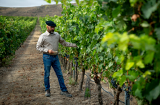 Ribera del Duero producers