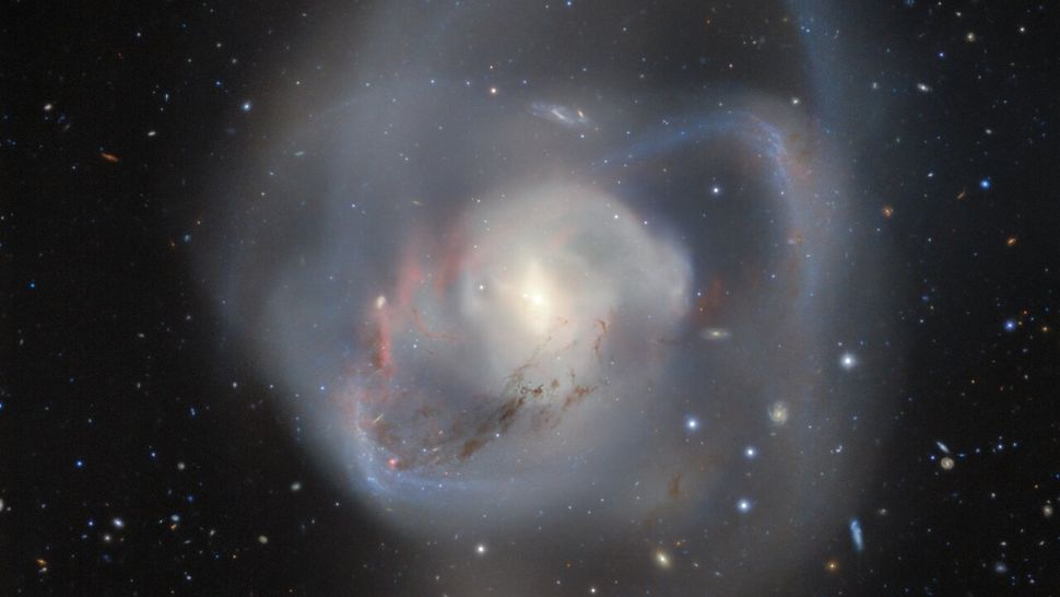Prepare For Shock Rare Black Holes Galactic Dinner Is Insane Distant Galaxy - gb43xdx