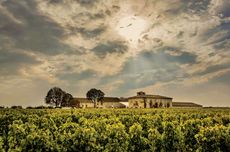 DEC284.investments_bordeaux.vineyards_chateau.jpg