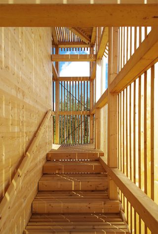 Staircases in larch