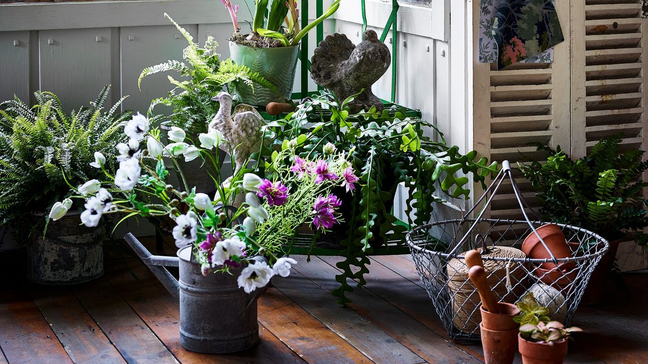 Houseplants and flowers in a rustic room