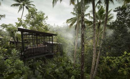An aerial view of the hotel with views of the rain forest