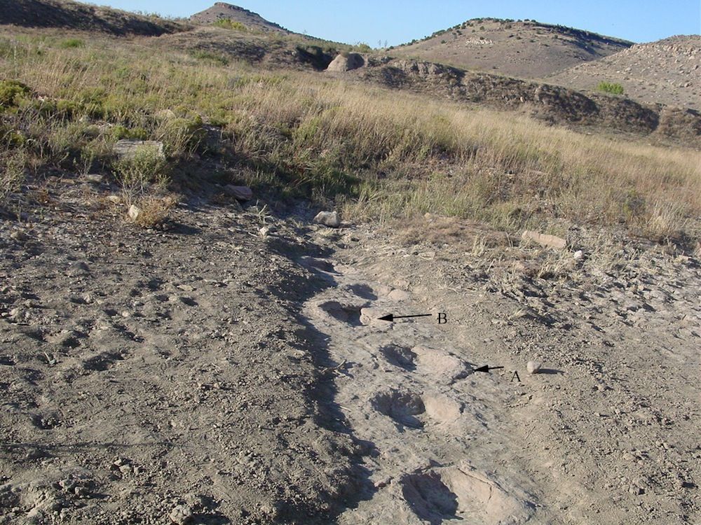 Dinosaur track slip