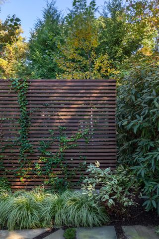 brown wood privacy screen with ivy growing on top