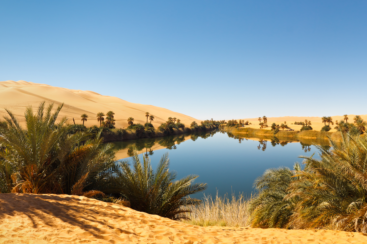Ežeras oazė Sacharos dykumoje.