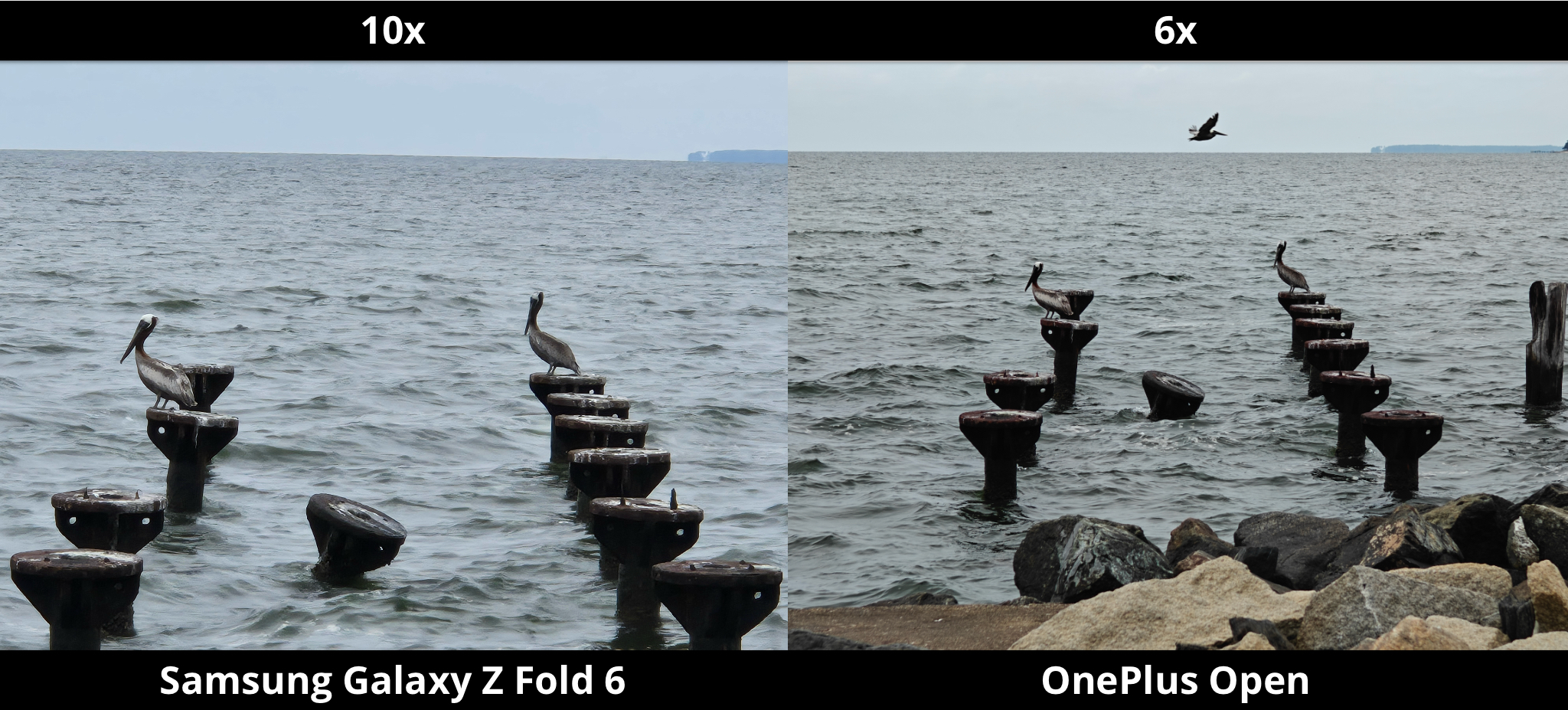 I compared the Z Fold 6 and OnePlus Open camera against Mother Nature, the results were unexpected