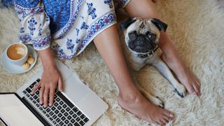 A pug sits on a white fluffy rug between the legs of a woman in a blue patterned dress. The woman is using a laptop with her right hand. A cup of coffee sits by her wrist,