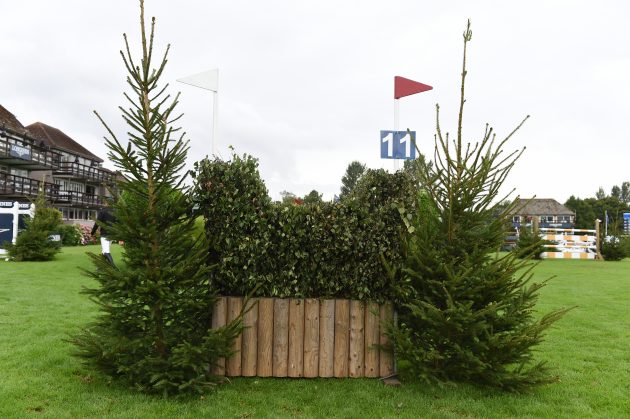Fence-11_RIHS_PN17_71324-e1501170673840.jpg