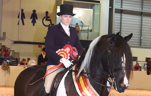 Equifest 2018