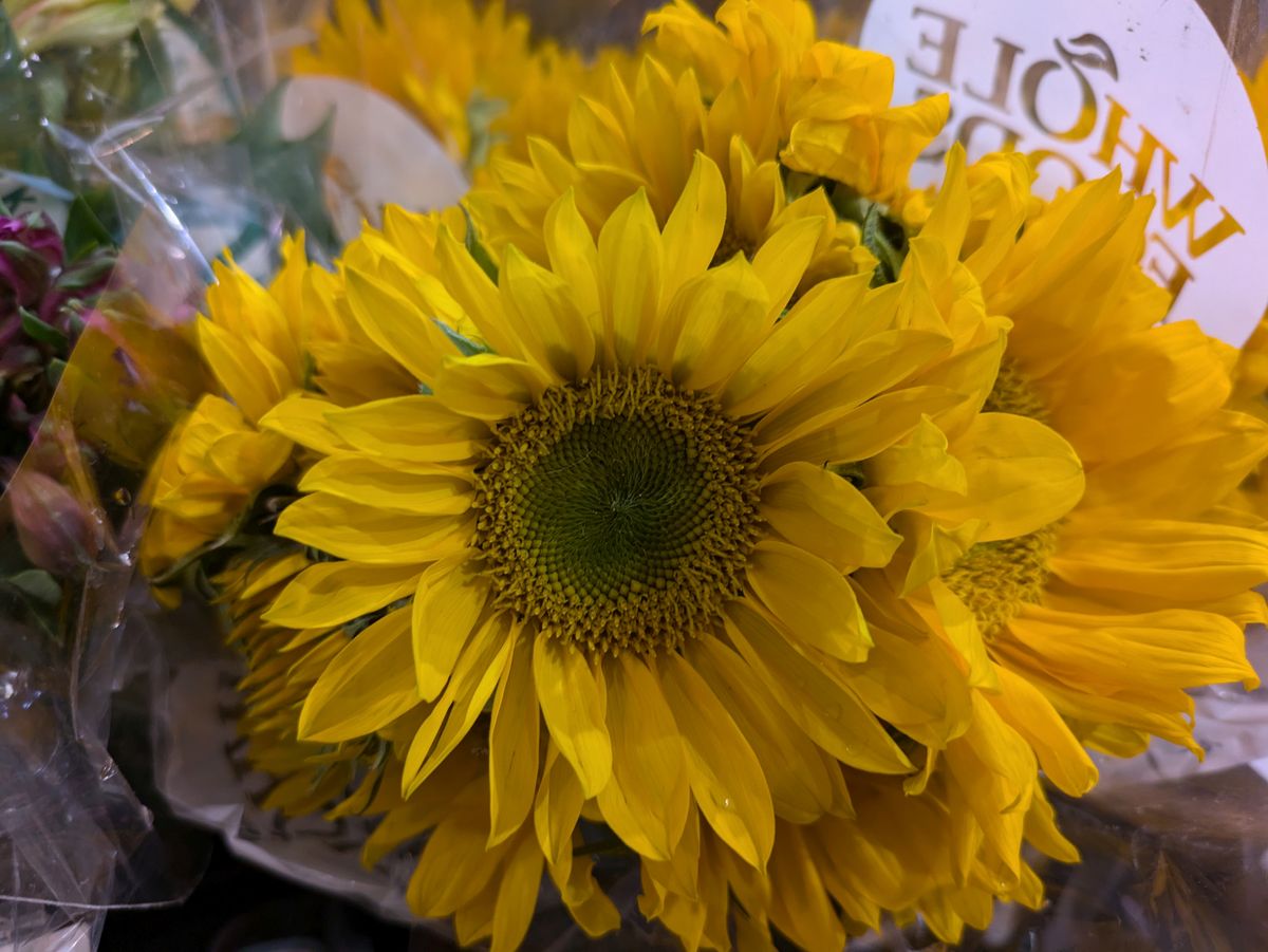 Google Pixel 8a closeup sample.