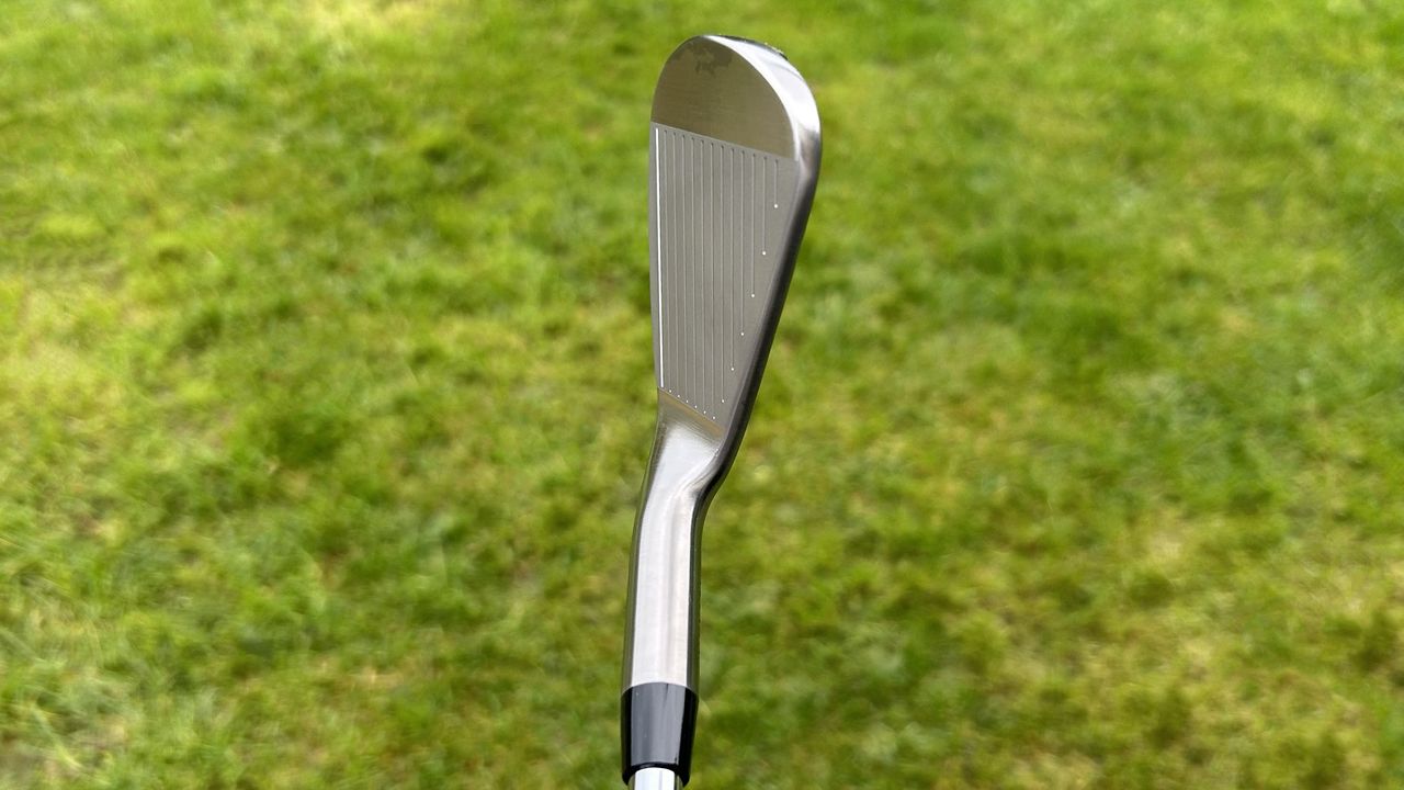 Photo of the Takomo 201 MKII Iron