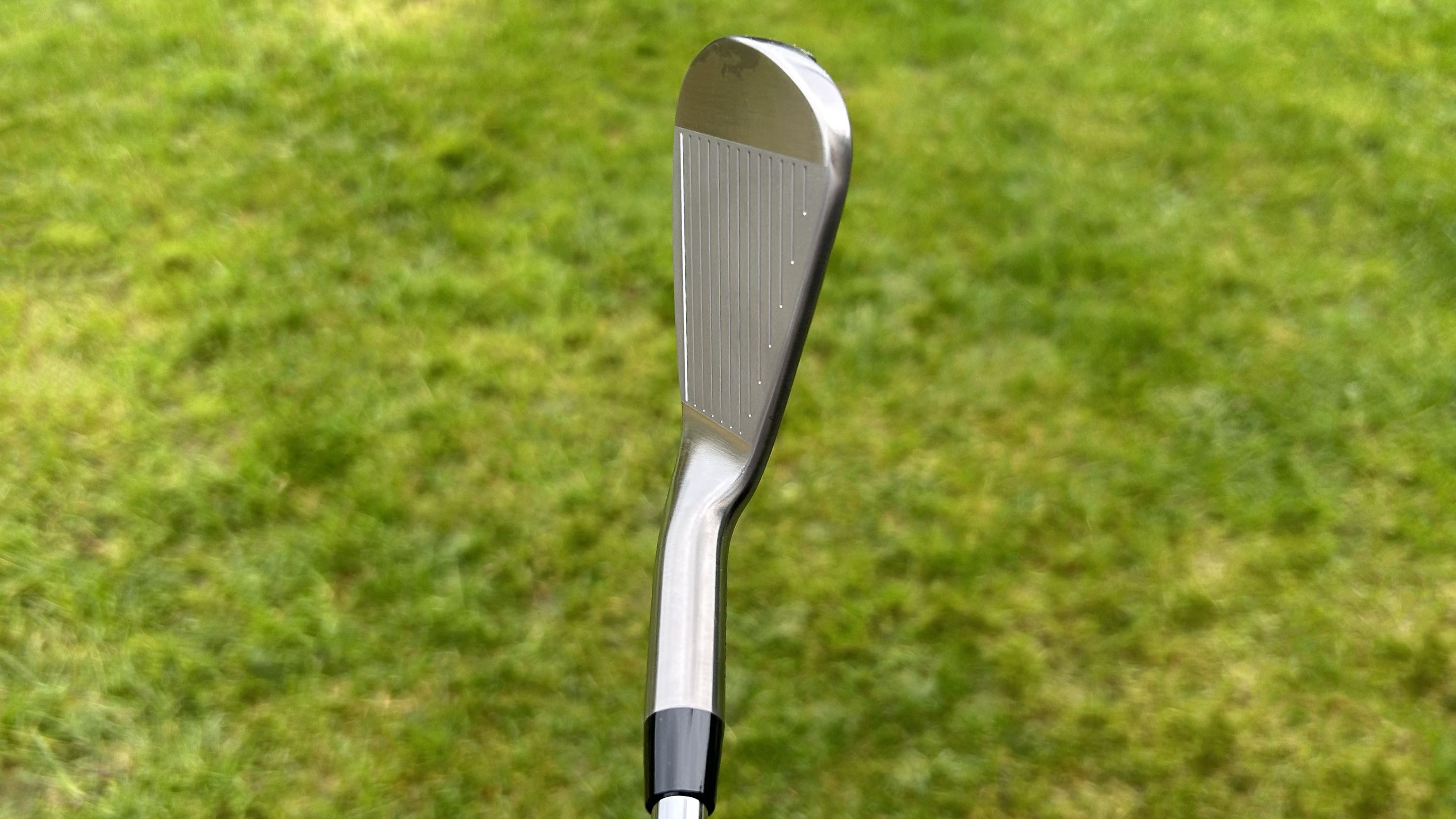 Photo of the Takomo 201 MKII Iron