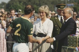 Princess Diana, Prince Charles, Mohamad Al-Fayed