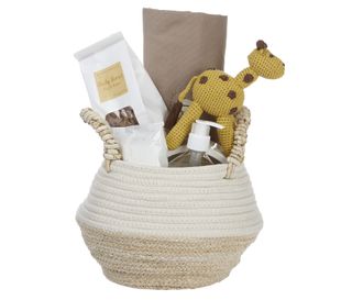 Mungo Maud puppy Basket - Little Sunshin_263958372_399093402