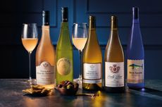 Line up of a selection of Aldi's premium wines 2026 autumn/winter