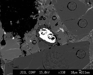 Meteorite EET 83309 contains tiny fragments of opal, a material that requires water to form. In this backscattered electron image, a narrow opal rim surrounds a bright metallic mineral inclusion.
