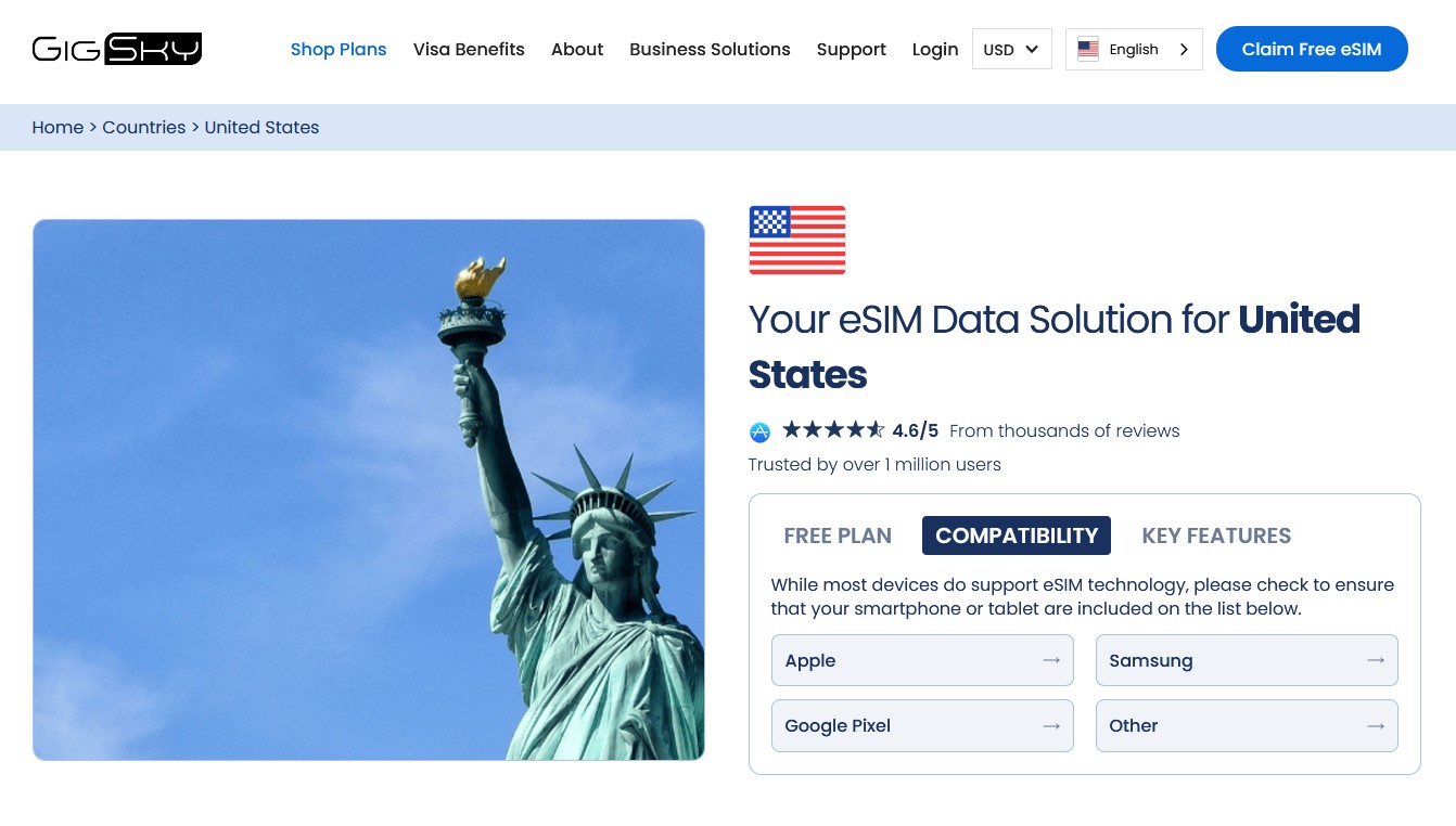 GigSky US