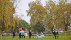 Bubby Upton's horses enjoy some grazing time at Pau Horse Trials