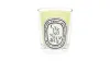 Diptyque Citronnelle Candle