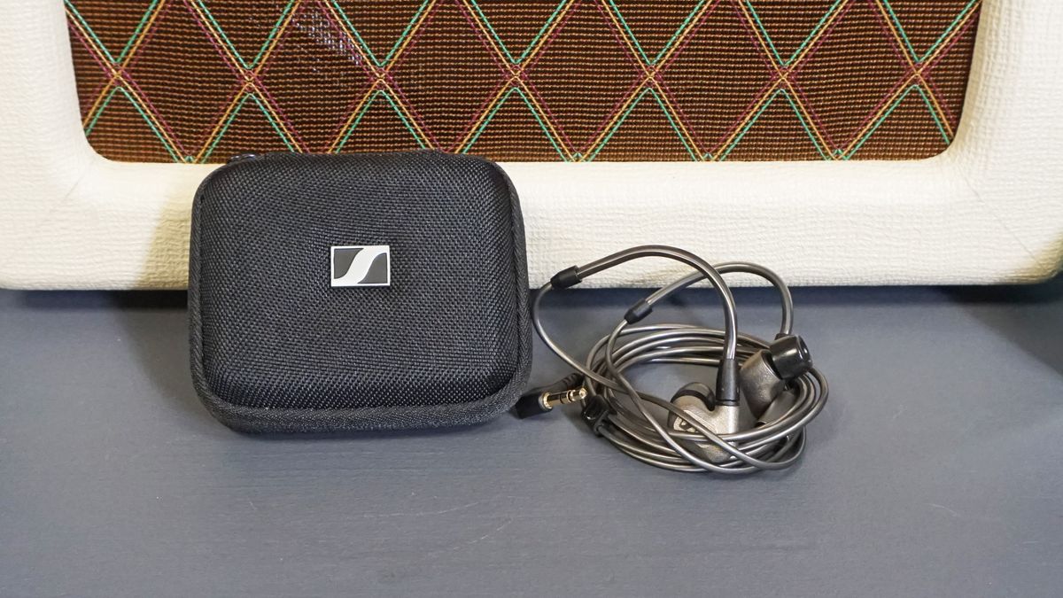 Sennheiser IE 600 next to gray/black carry case