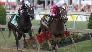 Runners and rider at the Preakness Stakes