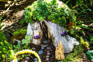 tree stump ideas: fairy house