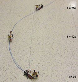 Researchers were able to precisely steer the roaches along a curved line.