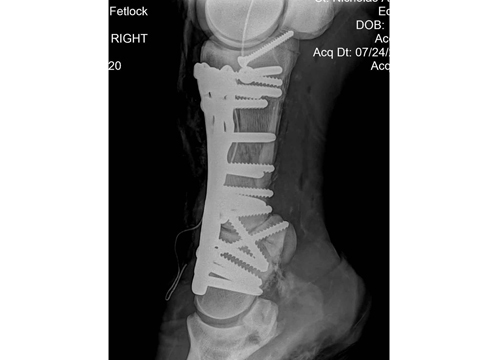 Slide 3