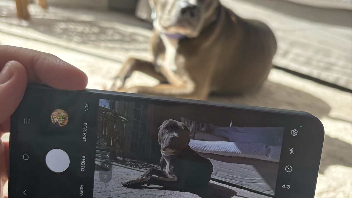 Samsung Galaxy A55 camera
