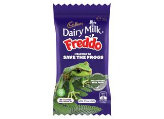 freddo branding