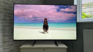 Sony KD-55X85L on a TV stand by a window