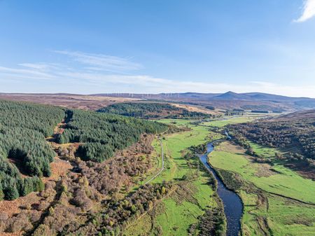 Sciberscross Forest