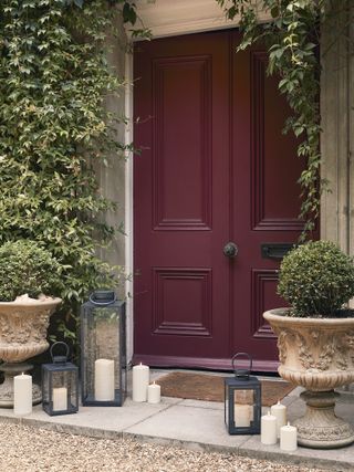 period home with large front door and climbing plants