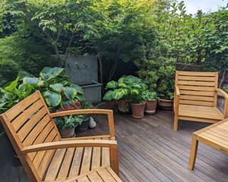 deck with garden furniture and plants