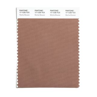 Color swatch of Pantone's Mocha Mousse color