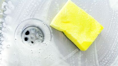 Fluid, Yellow, Liquid, Plumbing fixture, Drain, Ingredient, Circle, Plumbing, Sink, Sweetness, 
