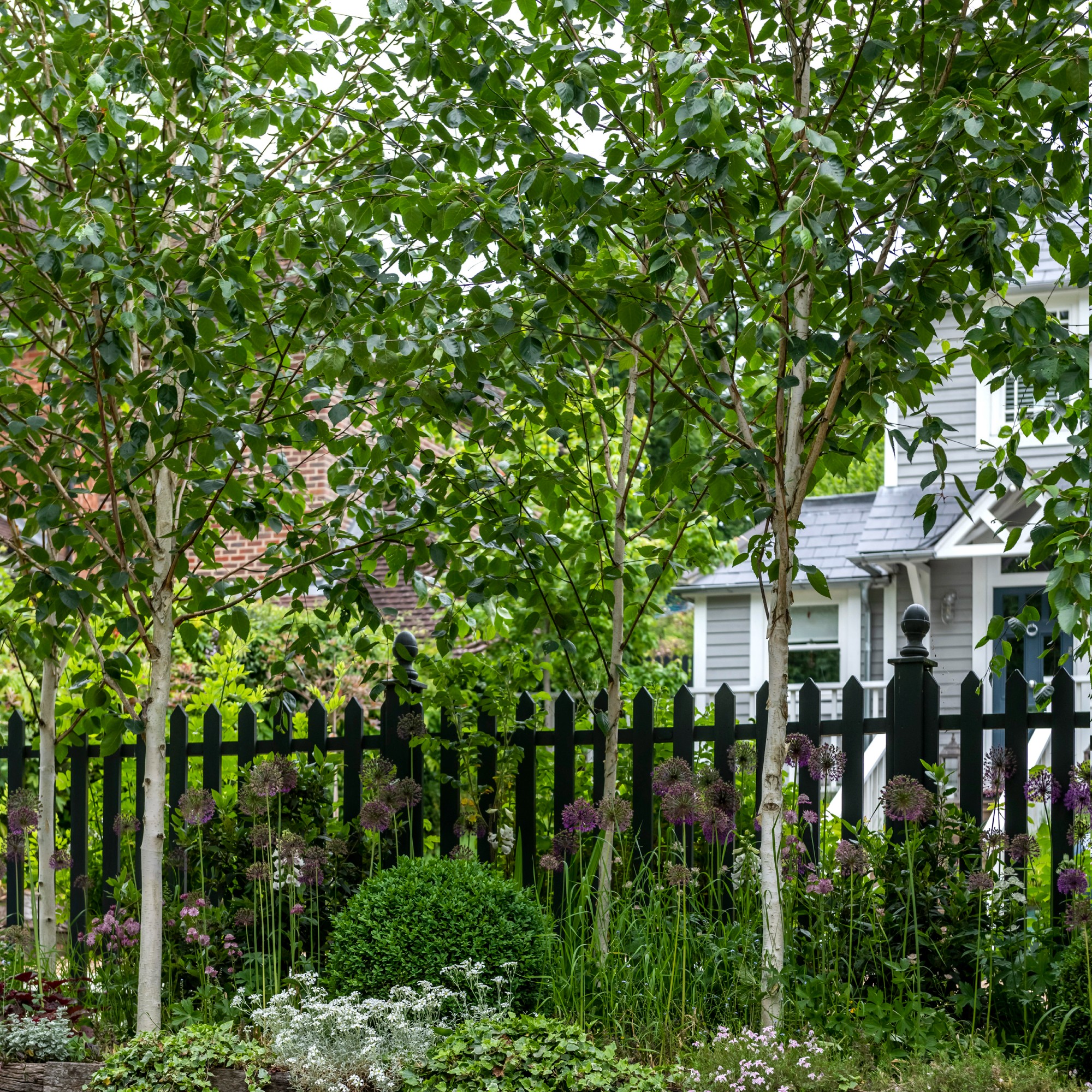 How To Plant Bare Root Trees The Cheaper And Easier 